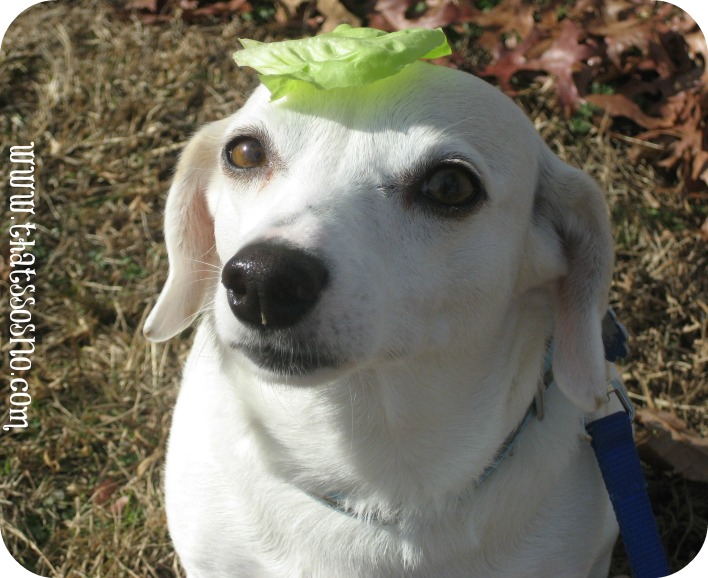 Lil Sno in her signature lettuce leaf hat.